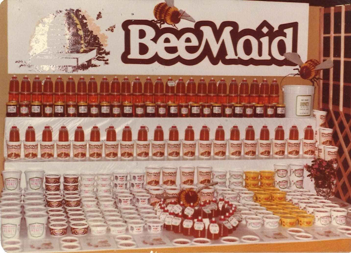Featured image for “Spicing Things Up”